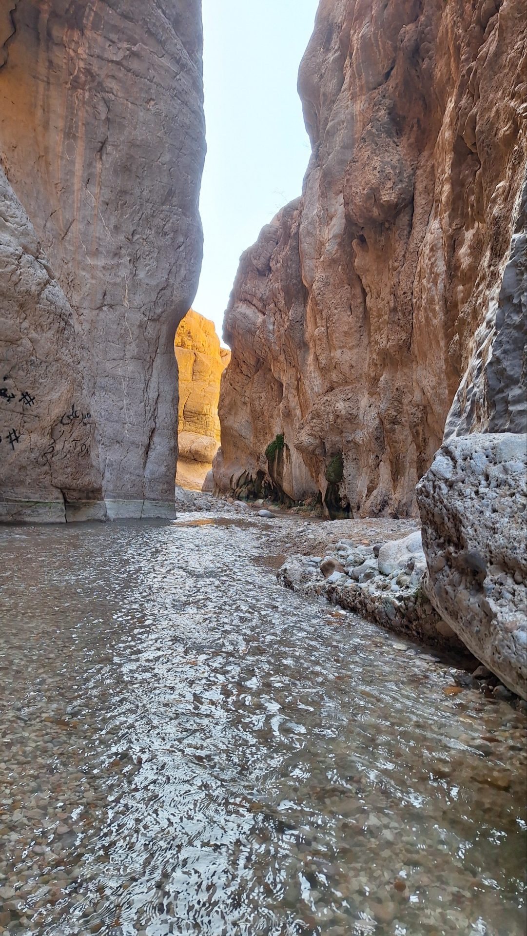 گزارش صعود به قله نایبند؛ بام استان خراسان جنوبی (طرح سیمرغ کوههای ایران)