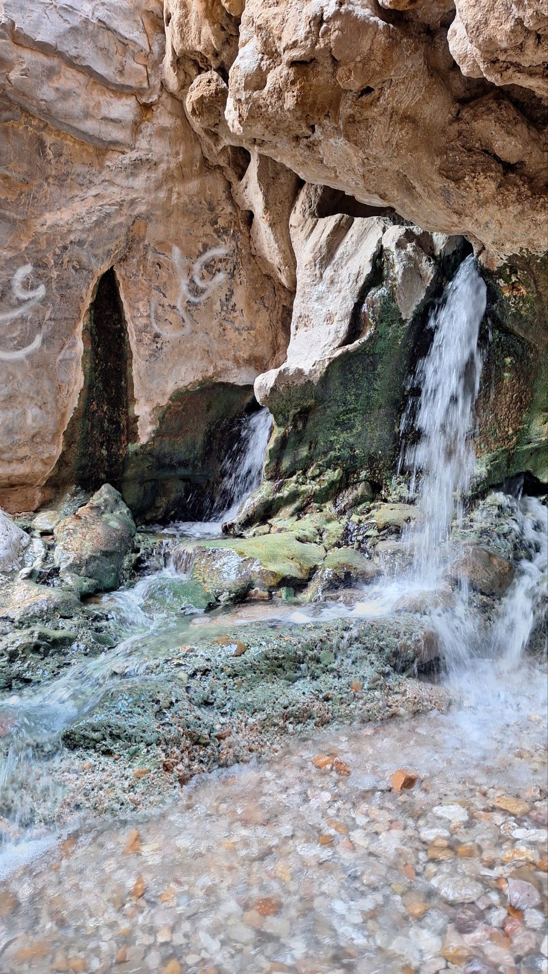 گزارش صعود به قله نایبند؛ بام استان خراسان جنوبی (طرح سیمرغ کوههای ایران)